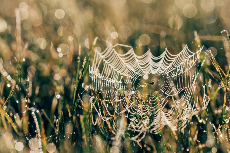 SEO er et nobelt håndværk - web